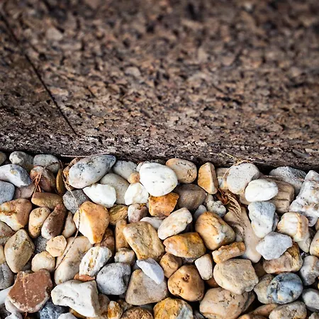 O Camino Fala ホテル