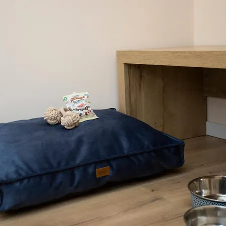 O Camino Fala * Mazaricos