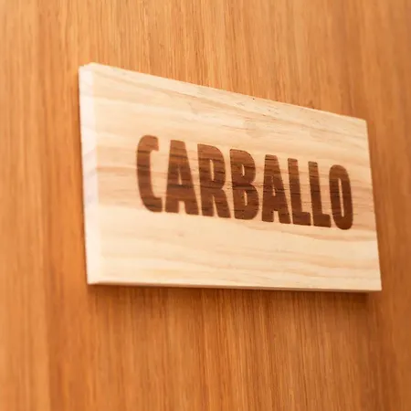 O Camino Fala * Mazaricos